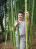 Vlad in bamboo