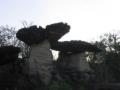 Stone mushroom 2